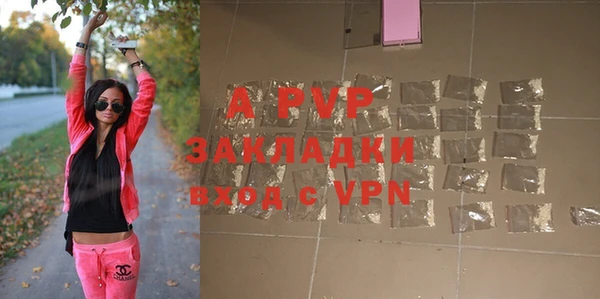дмт Бородино