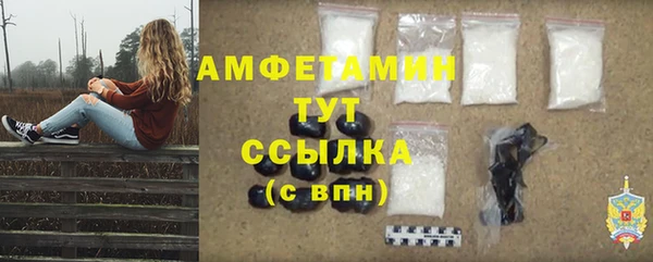 дмт Бородино