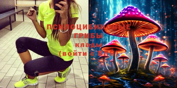 a pvp Бронницы