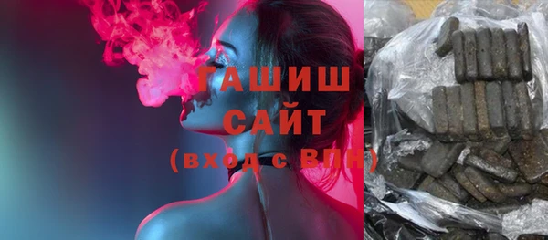 дмт Бородино