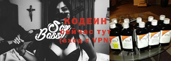 дмт Бородино