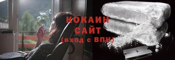 дмт Бородино