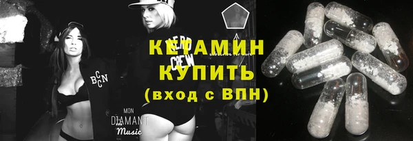 дмт Бородино