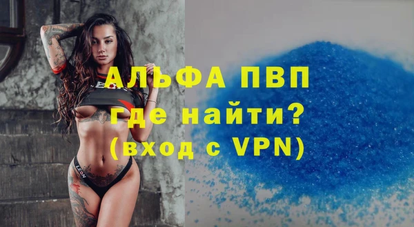 дмт Бородино