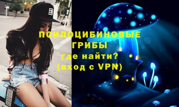 дмт Бородино