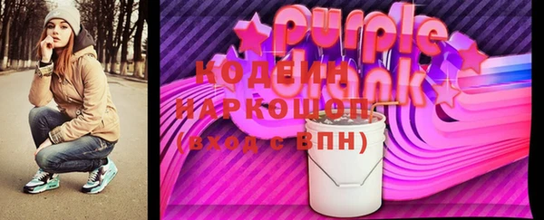 дмт Бородино