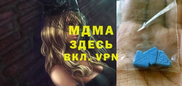 дмт Бородино