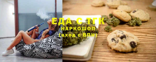 дмт Бородино