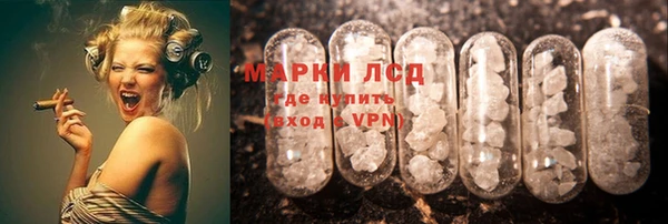 дмт Бородино
