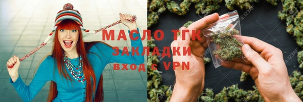 дмт Бородино