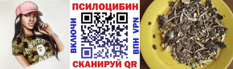 Псилоцибиновые грибы GOLDEN TEACHER  закладка  Комсомольск-на-Амуре 